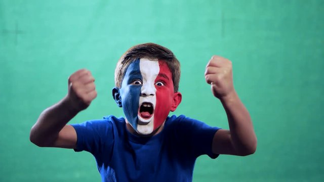 French fan celebrating victory