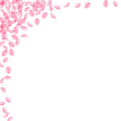 Fototapeta na wymiar Sakura petals falling down. Romantic pink silky medium flowers. Thick flying cherry petals. Square l