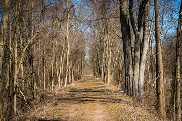 Fototapeta na wymiar Erie Canal Towpath 