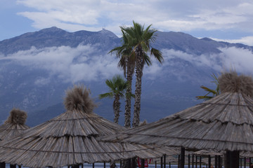 Fototapeta na wymiar palm trees and umbrellas on the beach under the mountains on the Montenegrin coast