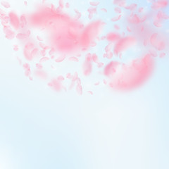 Sakura petals falling down. Romantic pink flowers semicircle. Flying petals on blue sky square backg