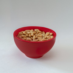 Navy beans in red bowl on white isolated