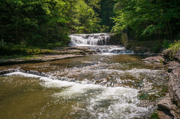 Robert H. Treman State Park
