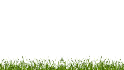 Obraz premium green grass blades of grass meadow lawn 3d-illustration