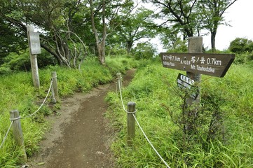 表尾根 木ノ又大日