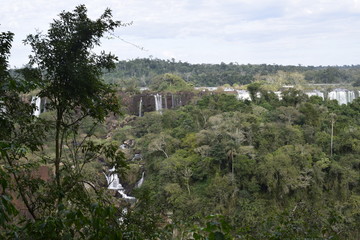Fototapeta na wymiar Horizonte da cachoeira do Iguaçu, floresta tropical
