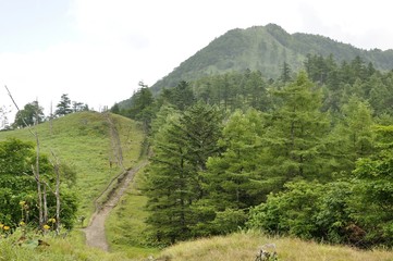 小さな分水嶺と笠取山
