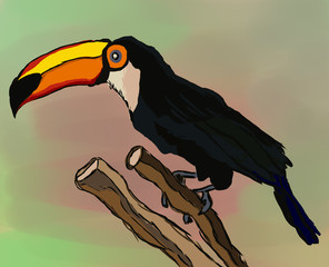 Cute cartoon toucan