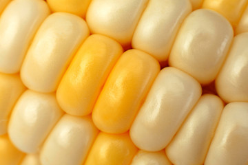 Corn vegatable closeup background