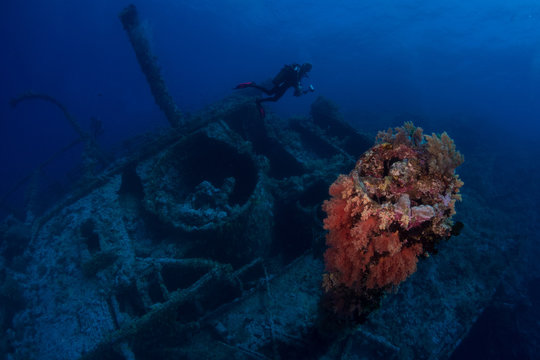 Diving in Numidia wreck at big brother island, Red Sea
