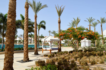 Baldachin white canopy on pillars above the bed and palm trees on a tropical warm sea resort, rest © Bolbik