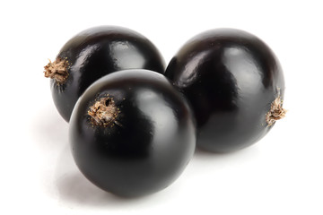 three black currant isolated on white background