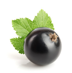 one black currant with leaf isolated on white background