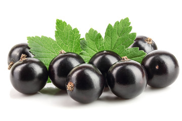 black currant with leaf isolated on white background
