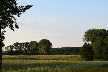 Polski krajobraz nad jeziorem