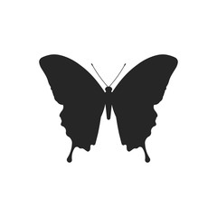 Butterfly icon. Vector.