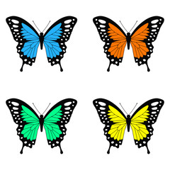 Butterfly. Set. Vector illustration. Isolated.