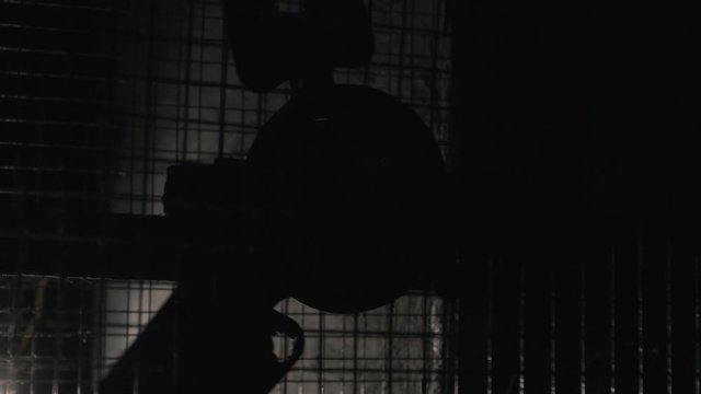horror in a dark basement environment