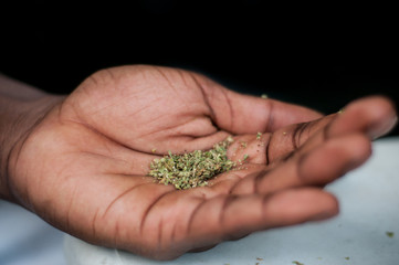 closeup of african man rolling a joint of cannabis in outdoor