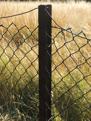 Rusted metal rectangular fence post as a connecting element of a chain link fence. In the blurred...