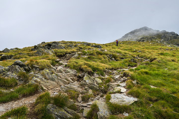Fototapeta na wymiar Woman hiking into rocky mountains