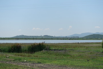 Pescando