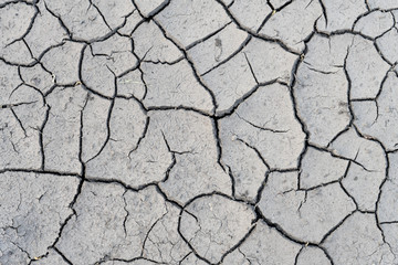 The soil cracked from the drought and the scorching sun.
