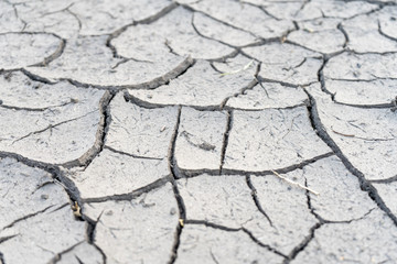 The soil cracked from the drought and the scorching sun.