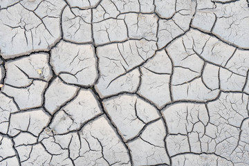 The soil cracked from the drought and the scorching sun.