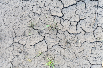 The soil cracked from the drought and the scorching sun.