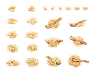 Pile of pine nuts isolated