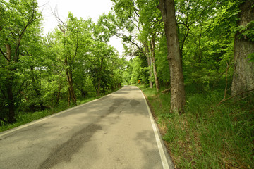 Fototapeta na wymiar Small country road in rural Kentucky on the Bourbon trail