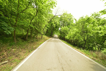 Small country road in rural Kentucky on the Bourbon-trail