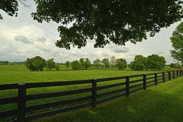 Green grassy field on side of road in Kentucky