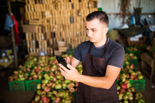 Young man ckeck online order of tomato ner his harvest. Online vegetable shopping.