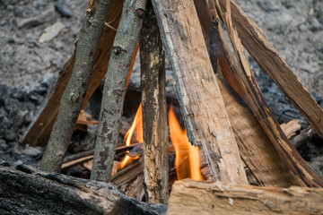 wood campfire - 215577345