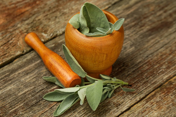 Common sage in wooden mortar