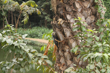 Natureza 3