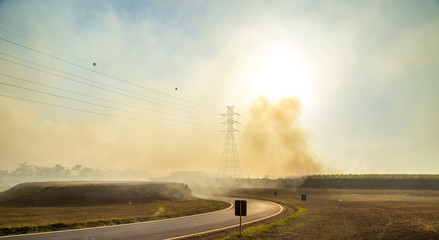 Sugar cane Fire plantation