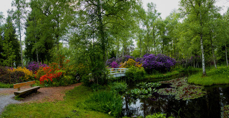 This green park with its tall trees, multicoloured summer blooms,  bridge, bench & paths looks very tranquil and serene. The pond with floating foliage, including water lilies - Nature at its best.