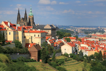 Fototapeta na wymiar Panoramic view of St. Vitus Cathedral in Prague, Czech Republic