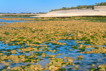 Ile de Ré - Landing stage at the north coast