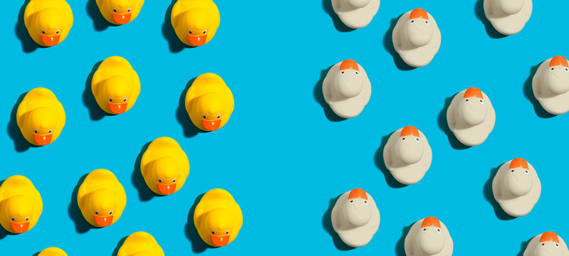 White and yellow rubber ducks in different directions concept