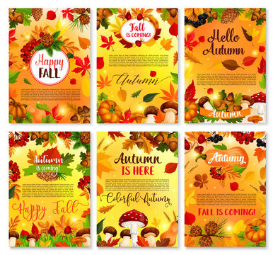 Hello Autumn seasonal vector greeting cards