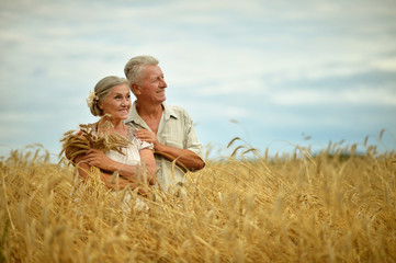 Senior couple resting at  summer field