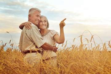 Senior couple resting at  summer field