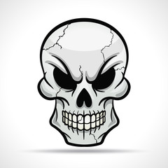Vector skull on white background