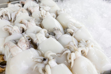 Cuttlefish Put on ice to prepare for cooking.