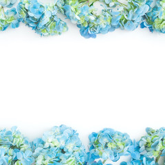 Frame of blue hydrangea flowers on white background. Flat lay, top view. Floral background