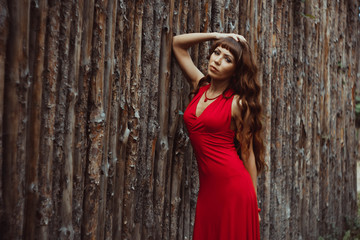 girl in a dress at a wooden fence